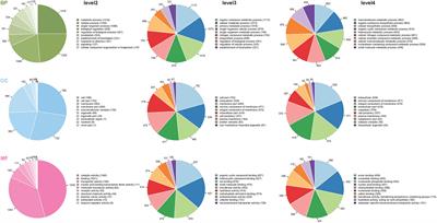 Global Proteomic Analysis of the Resuscitation State of Vibrio parahaemolyticus Compared With the Normal and Viable but Non-culturable State